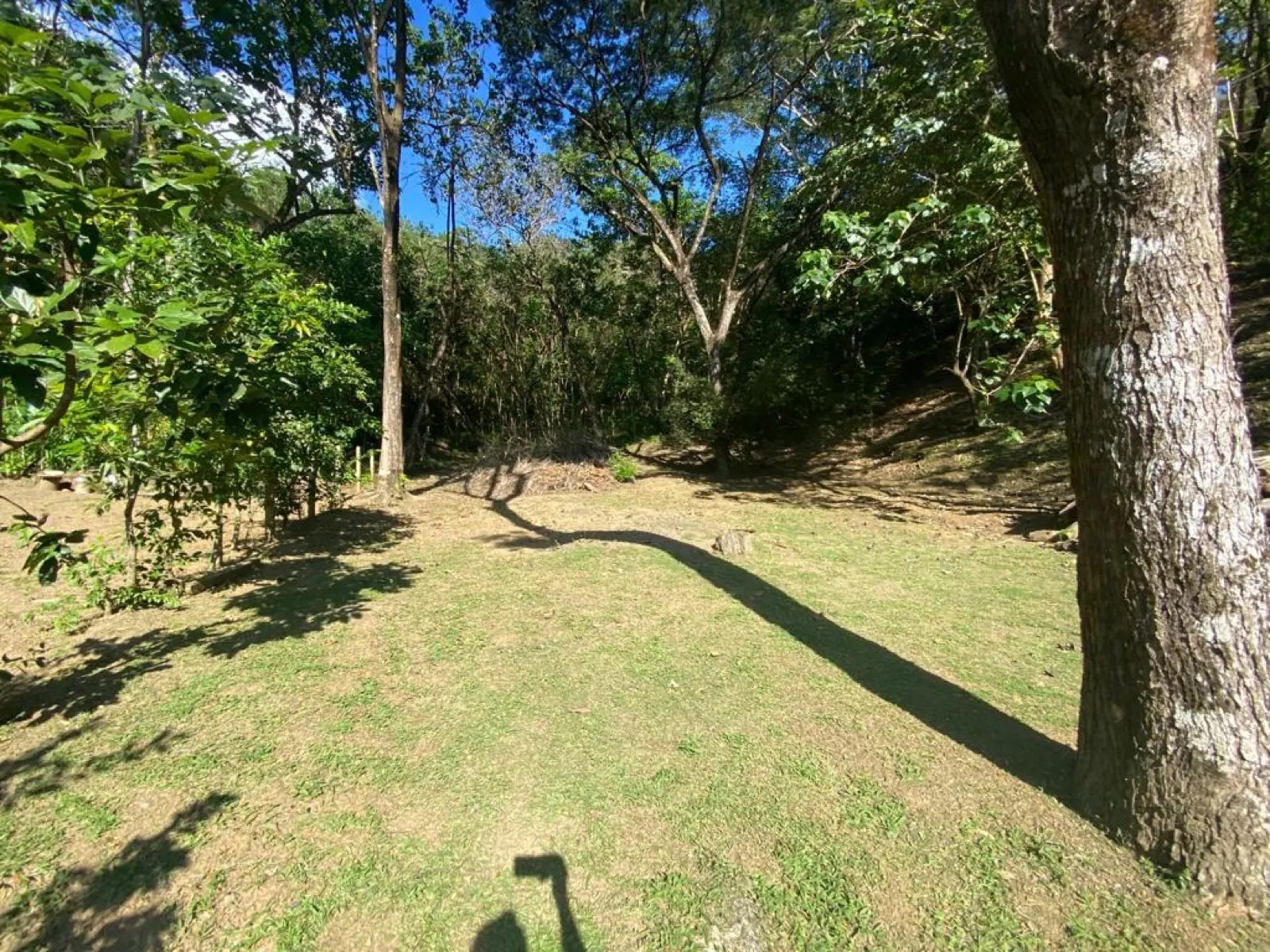 Calle Hermosa Lot – Boulevard el Bosque