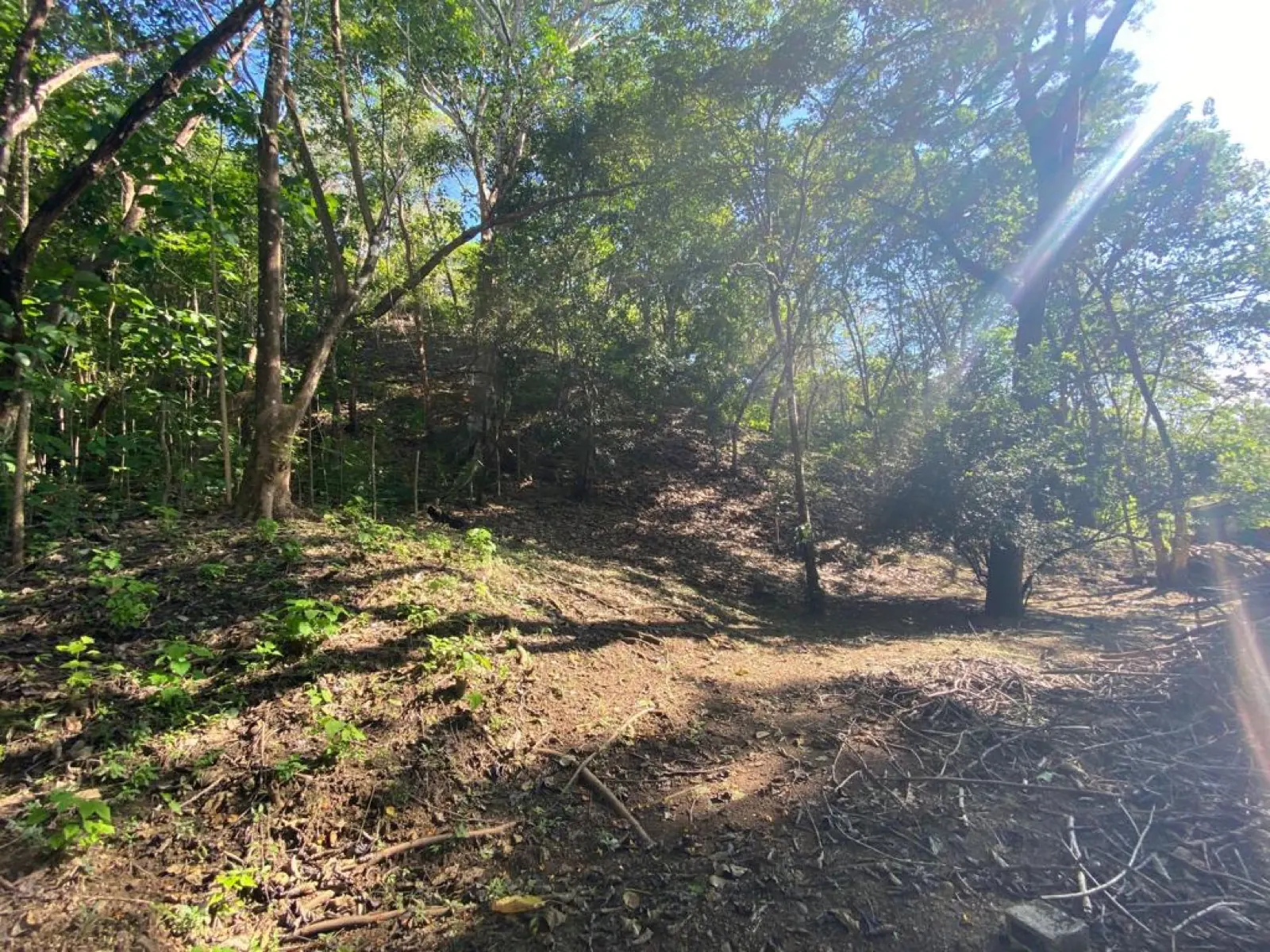 Calle Hermosa Lot – Boulevard el Bosque