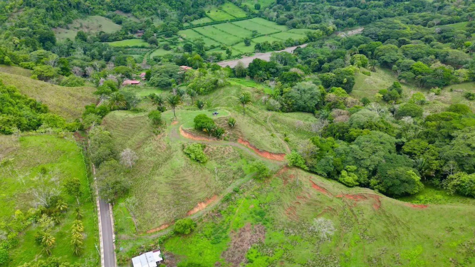 Farm for Sale in Mataplatano–6 Hectares