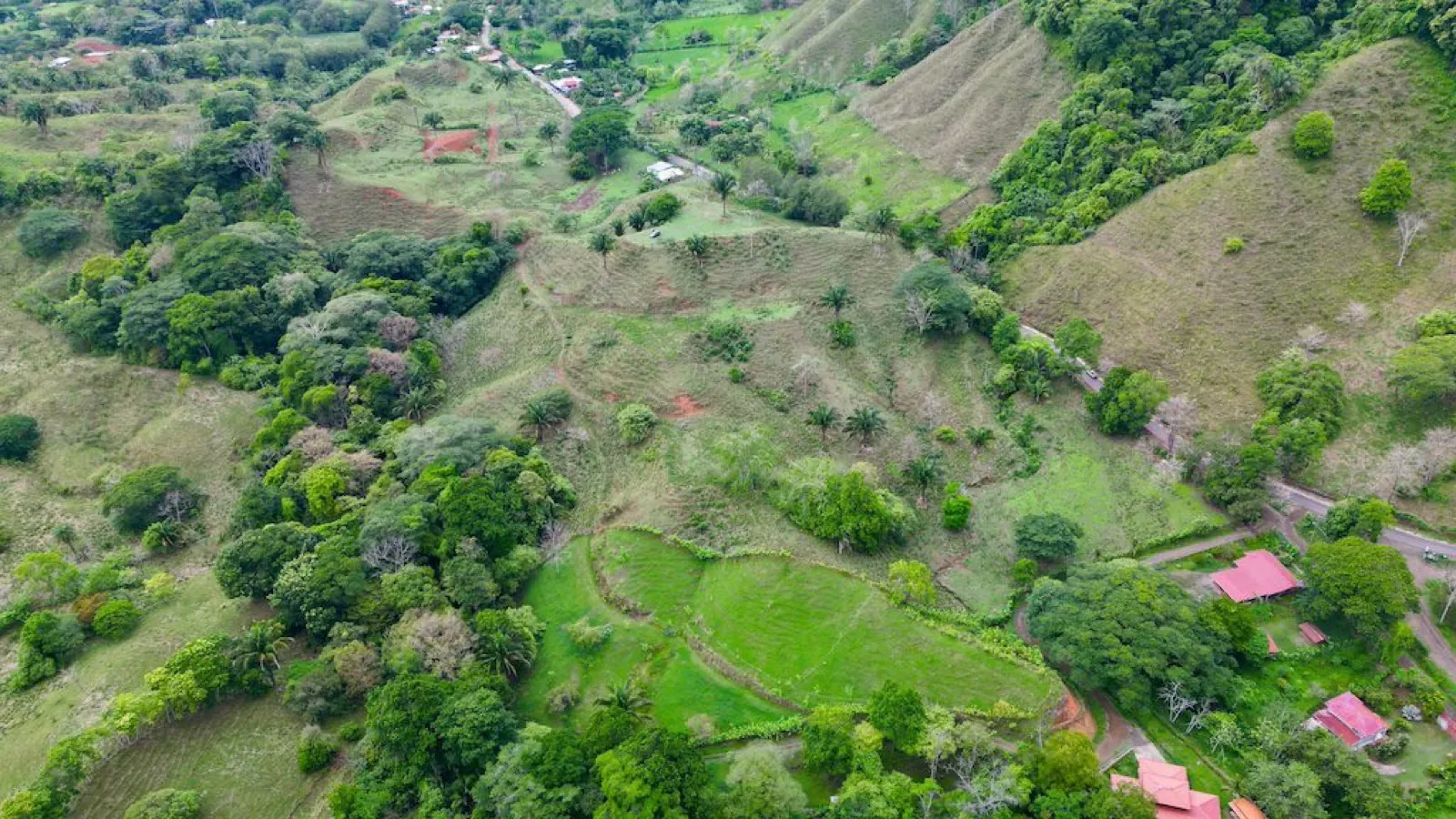 Farm for Sale in Mataplatano–6 Hectares
