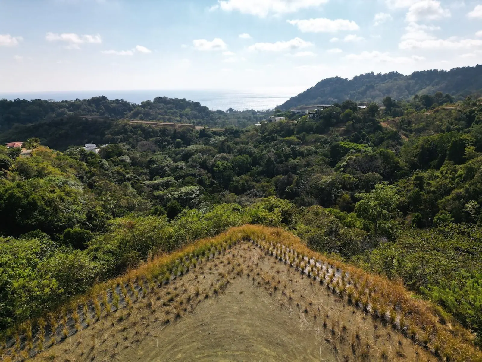 Finca Ficus Hills – Ocean view