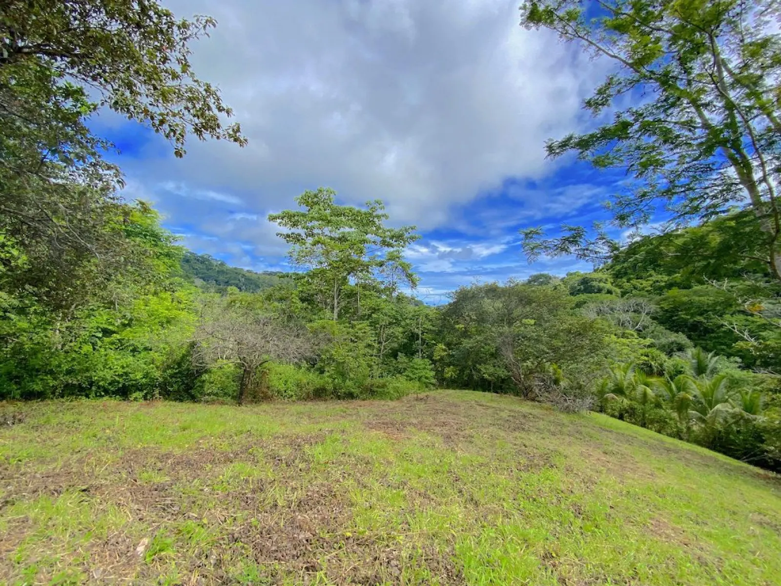 VISTA MAYO LOT